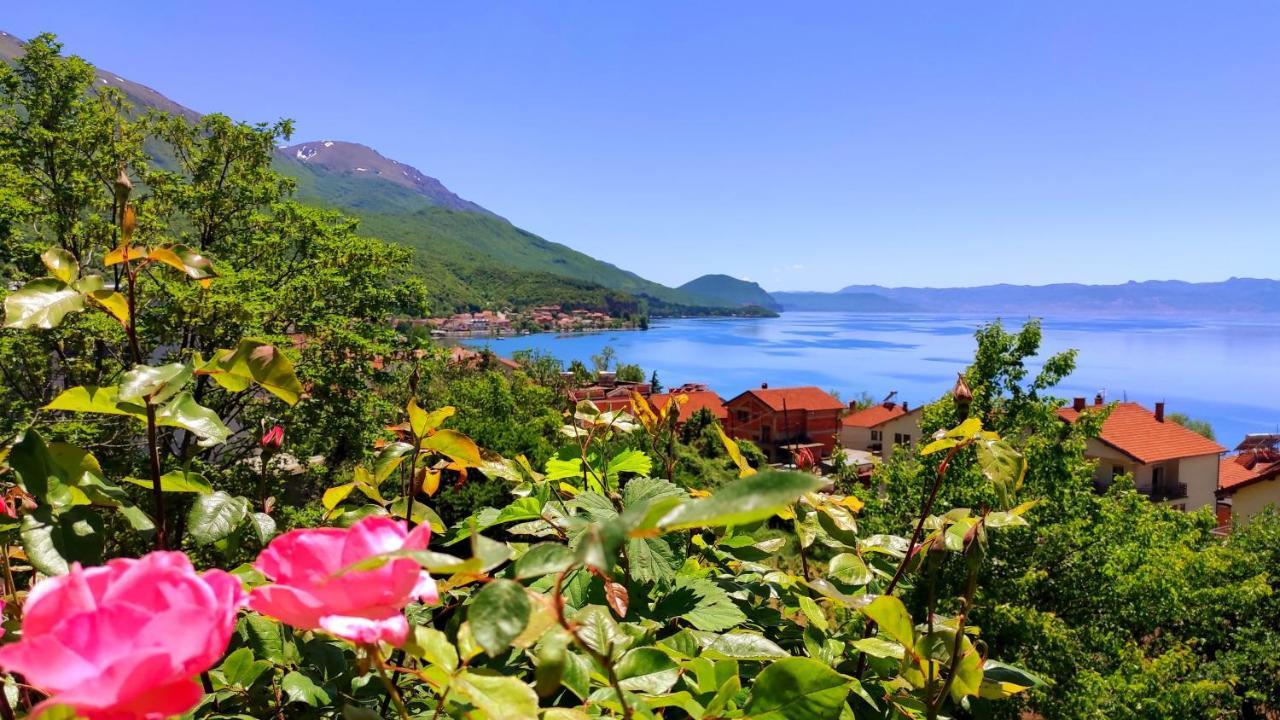 Villa Forest Paradise Ochrid Exteriér fotografie