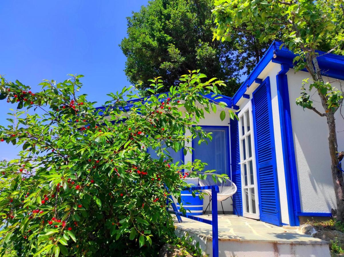 Villa Forest Paradise Ochrid Exteriér fotografie