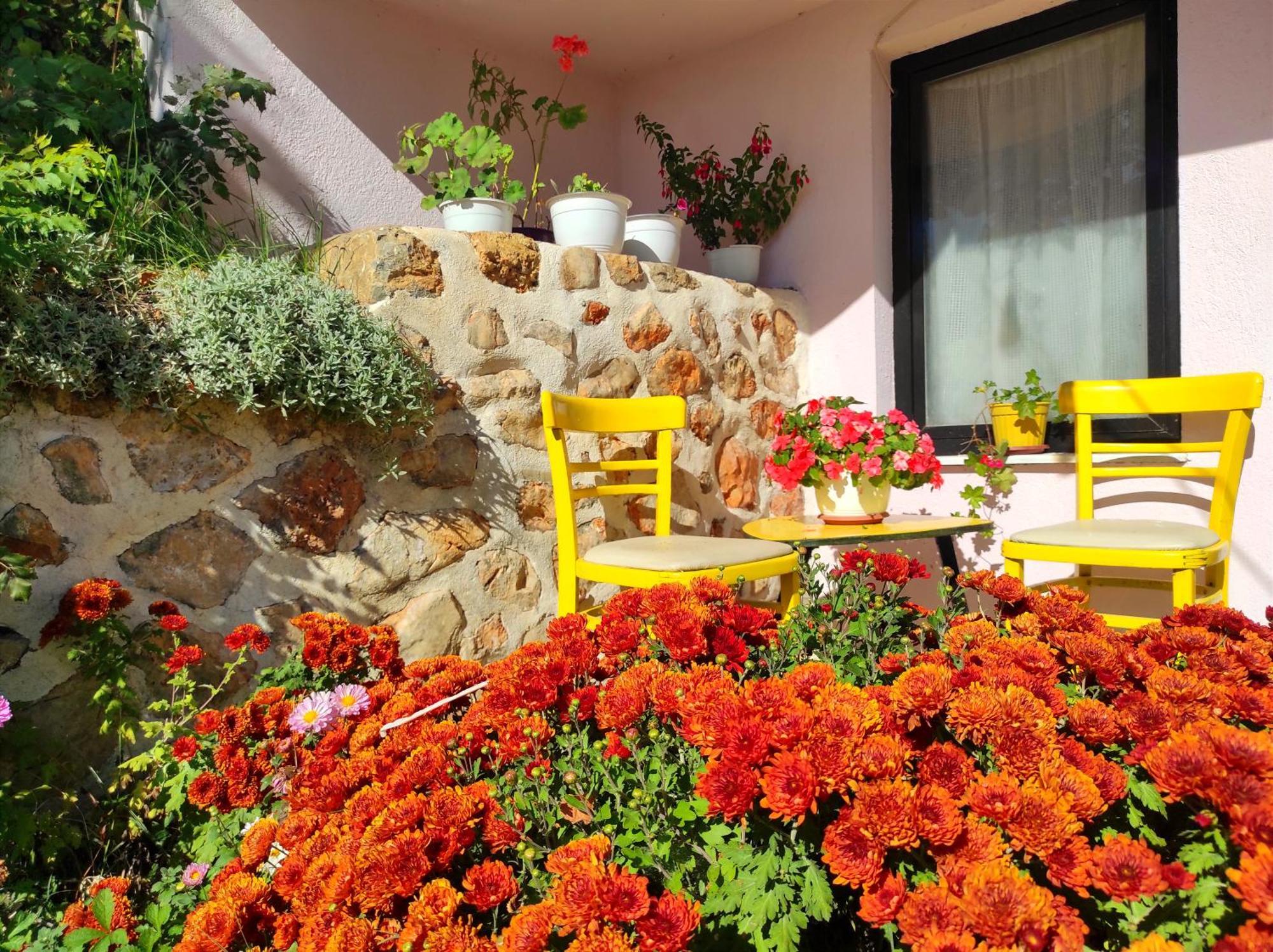 Villa Forest Paradise Ochrid Exteriér fotografie
