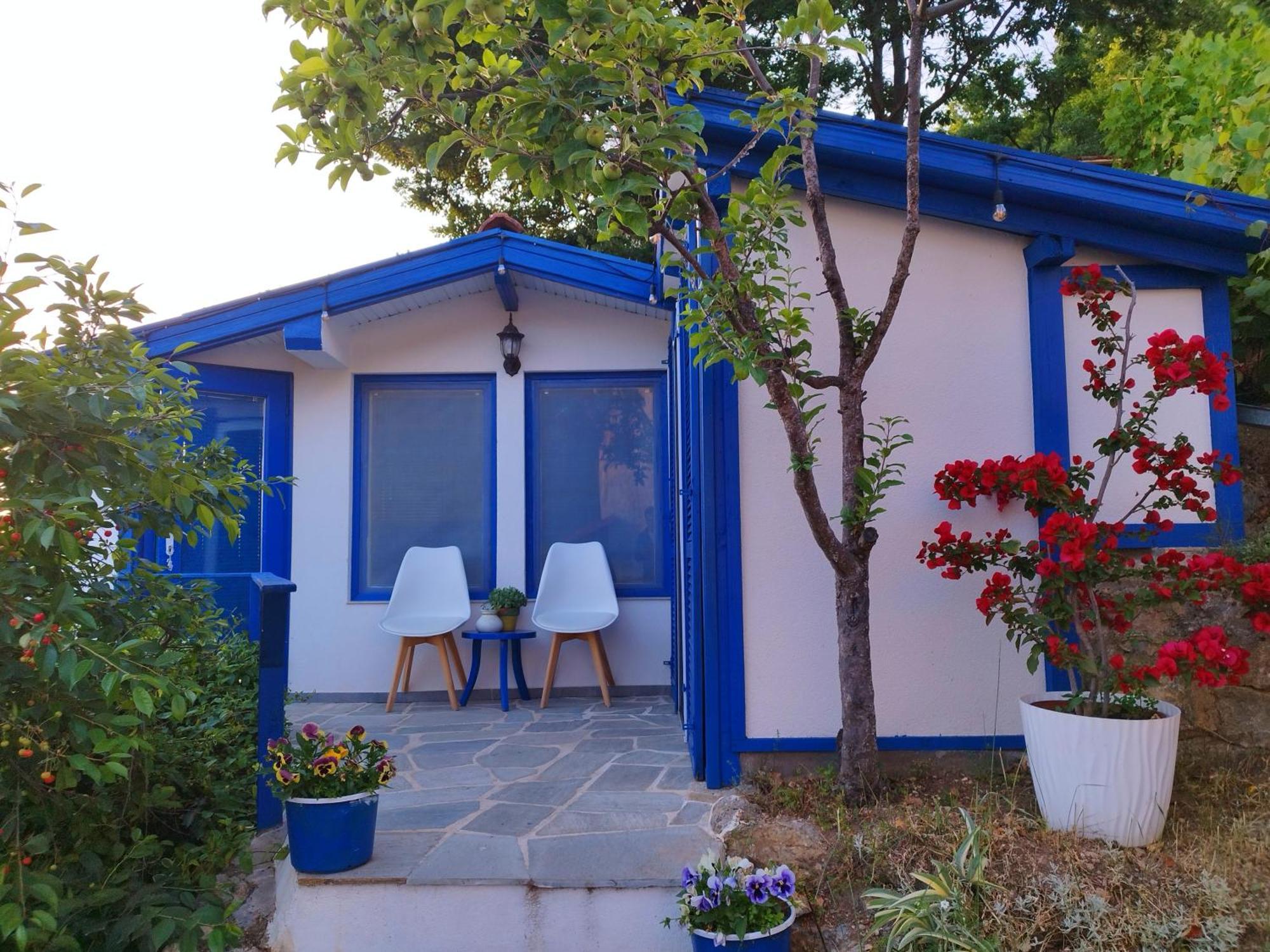 Villa Forest Paradise Ochrid Exteriér fotografie